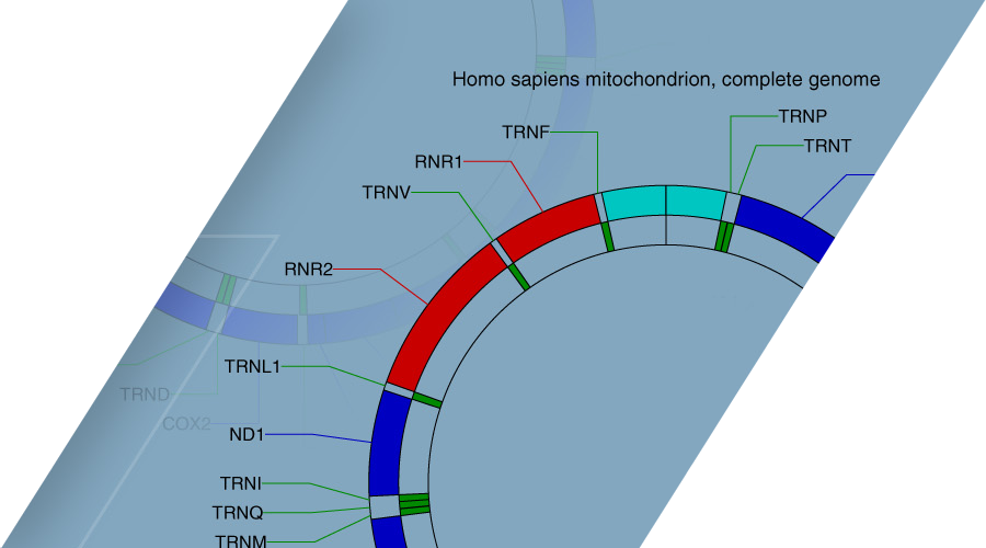 bioinformatics toolbox